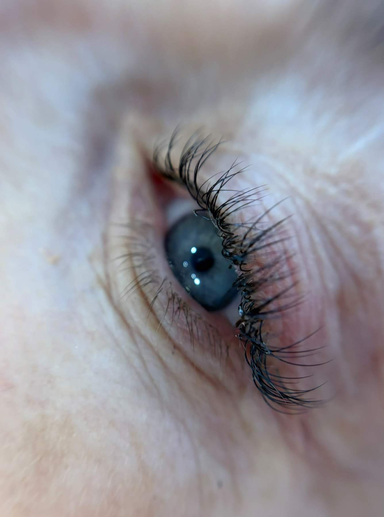 Nouveau lash extensions by Nicola